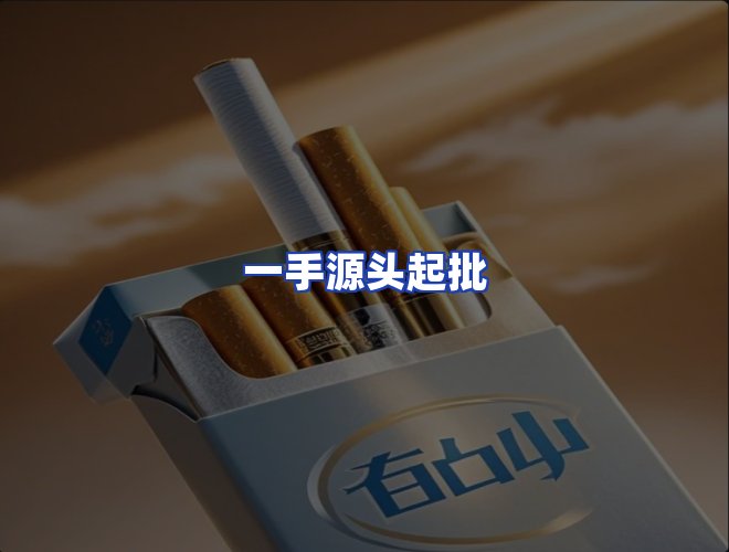 专业团队